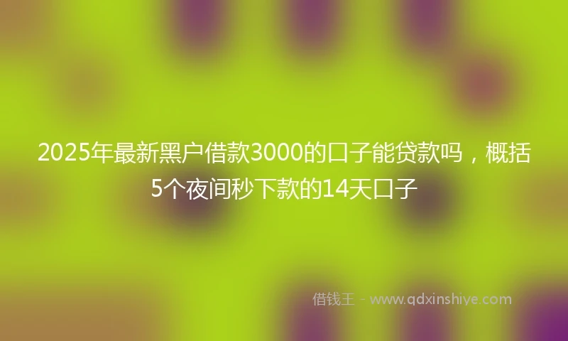 2025年最新黑户借款3000的口子能贷款吗，概括5个夜间秒下款的14天口子
