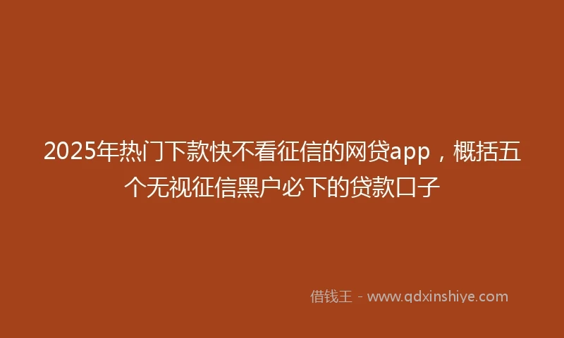 2025年热门下款快不看征信的网贷app，概括五个无视征信黑户必下的贷款口子