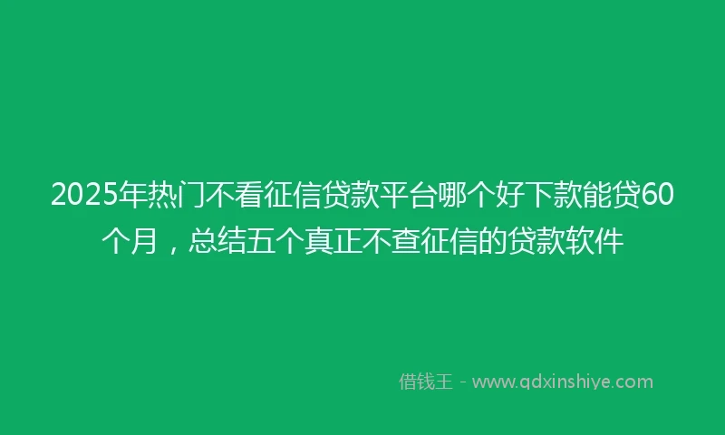 2025年热门不看征信贷款平台哪个好下款能贷60个月，总结五个真正不查征信的贷款软件