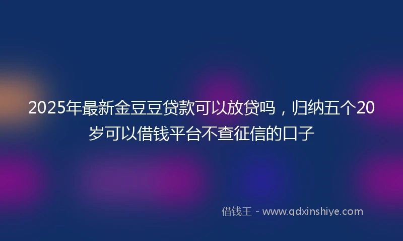 2025年最新金豆豆贷款可以放贷吗，归纳五个20岁可以借钱平台不查征信的口子