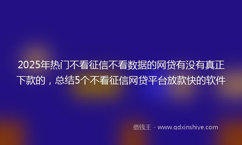 2025年热门不看征信不看数据的网贷有没有真正下款的，总结5个不看征信网贷平台放款快的软件