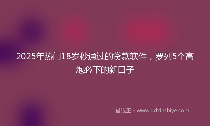 2025年热门18岁秒通过的贷款软件，罗列5个高炮必下的新口子