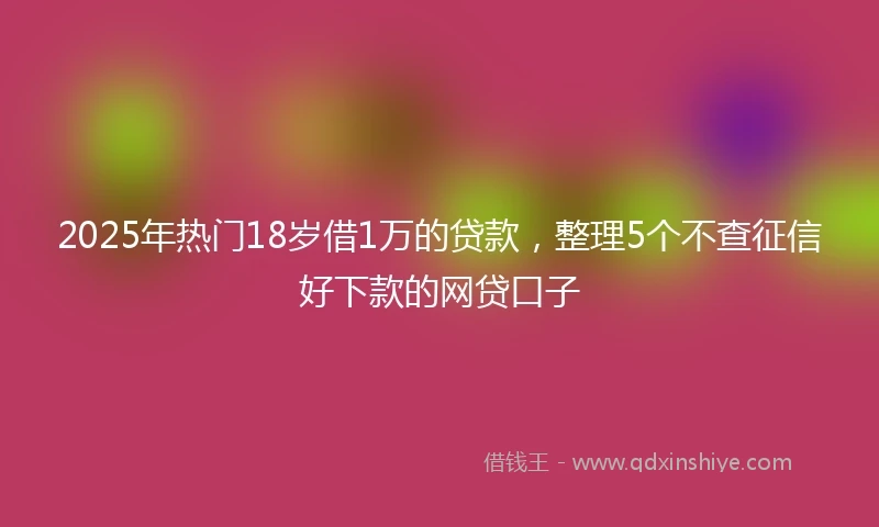 2025年热门18岁借1万的贷款，整理5个不查征信好下款的网贷口子