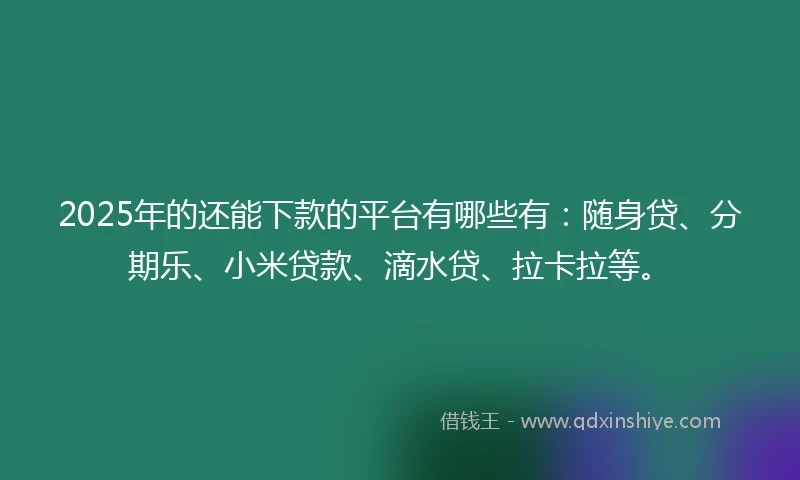 2025年的还能下款的平台有哪些有：随身贷、分期乐、小米贷款、滴水贷、拉卡拉等。