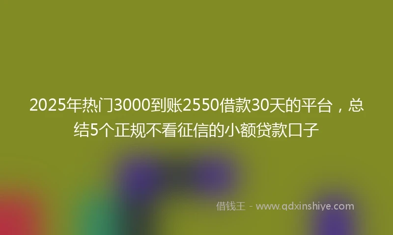 2025年热门3000到账2550借款30天的平台，总结5个正规不看征信的小额贷款口子