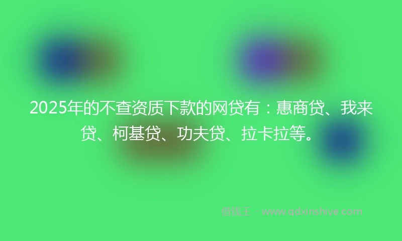 2025年的不查资质下款的网贷有：惠商贷、我来贷、柯基贷、功夫贷、拉卡拉等。