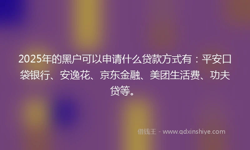 2025年的黑户可以申请什么贷款方式有：平安口袋银行、安逸花、京东金融、美团生活费、功夫贷等。