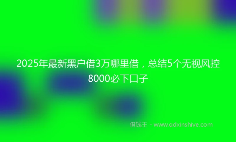 2025年最新黑户借3万哪里借，总结5个无视风控8000必下口子