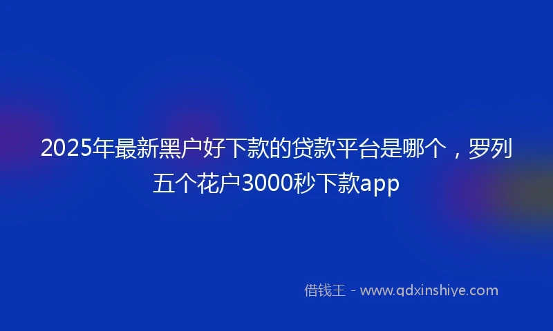 2025年最新黑户好下款的贷款平台是哪个，罗列五个花户3000秒下款app