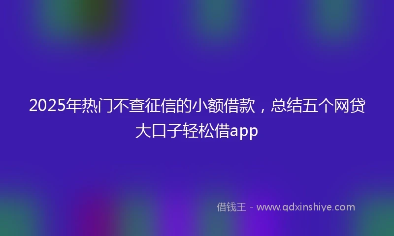 2025年热门不查征信的小额借款，总结五个网贷大口子轻松借app