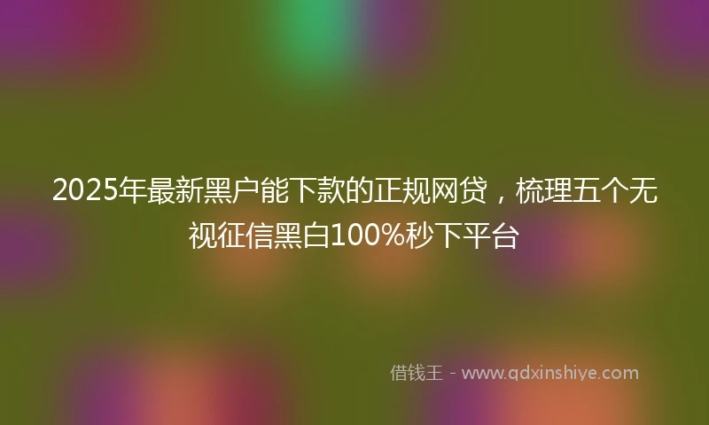 2025年最新黑户能下款的正规网贷，梳理五个无视征信黑白100%秒下平台