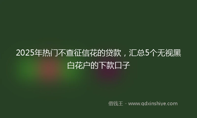 2025年热门不查征信花的贷款，汇总5个无视黑白花户的下款口子