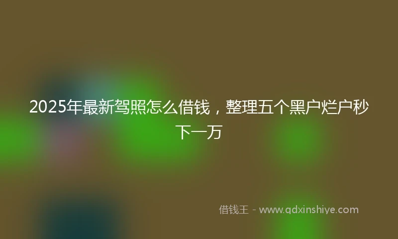2025年最新驾照怎么借钱，整理五个黑户烂户秒下一万