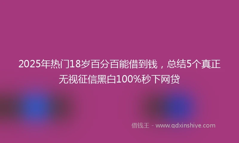 2025年热门18岁百分百能借到钱，总结5个真正无视征信黑白100%秒下网贷