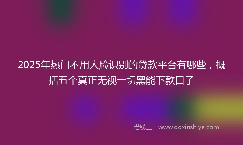 2025年热门不用人脸识别的贷款平台有哪些，概括五个真正无视一切黑能下款口子