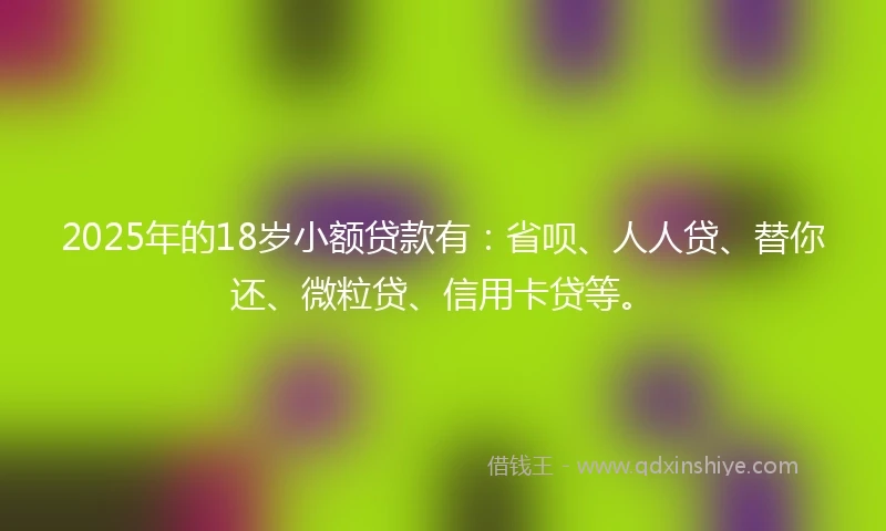 2025年的18岁小额贷款有：省呗、人人贷、替你还、微粒贷、信用卡贷等。