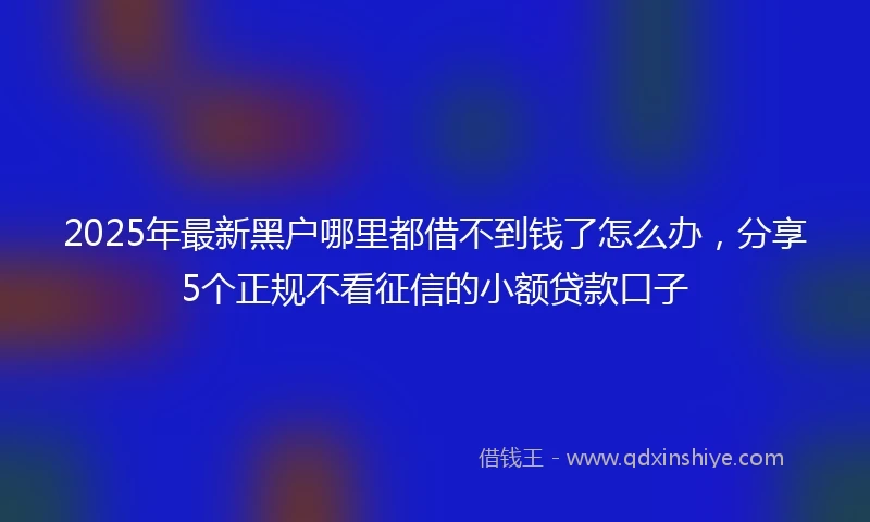 2025年最新黑户哪里都借不到钱了怎么办，分享5个正规不看征信的小额贷款口子