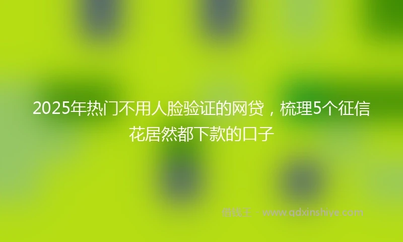 2025年热门不用人脸验证的网贷，梳理5个征信花居然都下款的口子