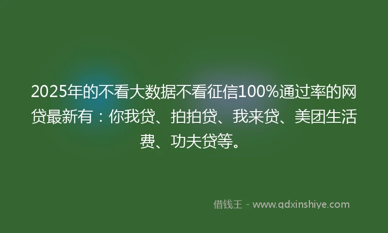 2025年的不看大数据不看征信100%通过率的网贷最新有：你我贷、拍拍贷、我来贷、美团生活费、功夫贷等。