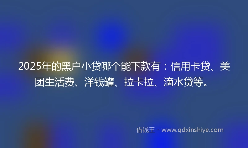 2025年的黑户小贷哪个能下款有：信用卡贷、美团生活费、洋钱罐、拉卡拉、滴水贷等。