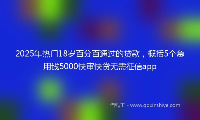 2025年热门18岁百分百通过的贷款,概括5个急用钱5000快审快贷无需征信app