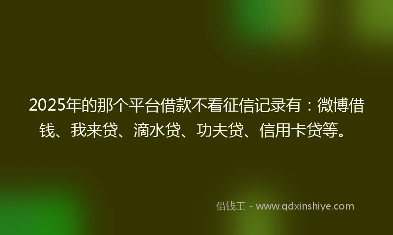 2025年的那个平台借款不看征信记录有：微博借钱、我来贷、滴水贷、功夫贷、信用卡贷等。