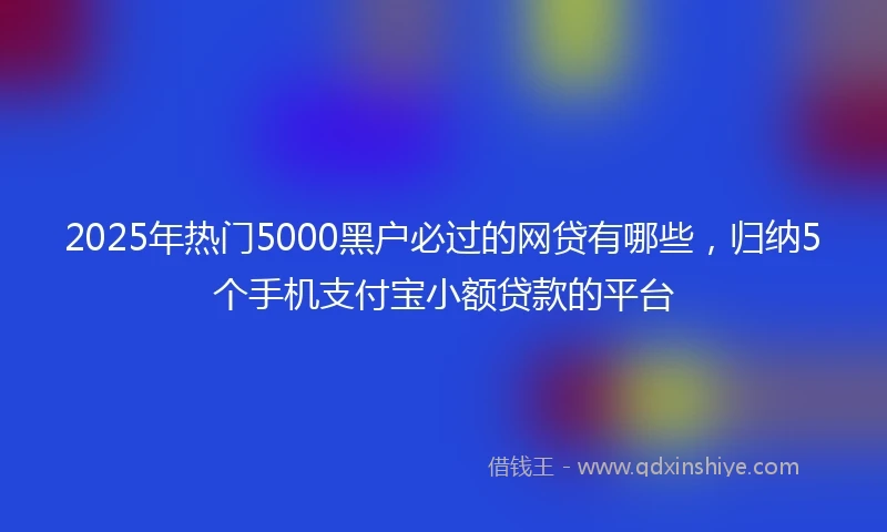 2025年热门5000黑户必过的网贷有哪些，归纳5个手机支付宝小额贷款的平台