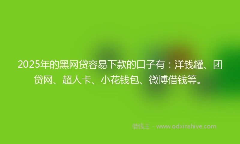 2025年的黑网贷容易下款的口子有：洋钱罐、团贷网、超人卡、小花钱包、微博借钱等。