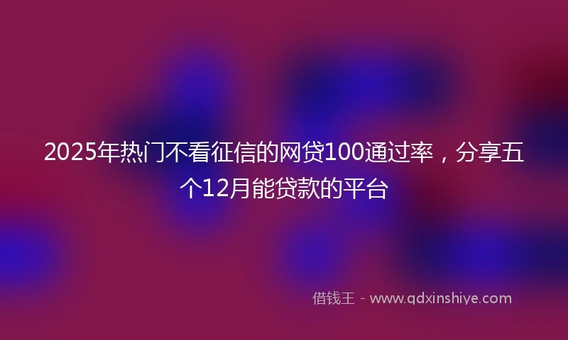 2025年热门不看征信的网贷100通过率，分享五个12月能贷款的平台