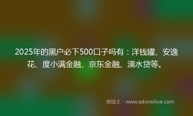 2025年的黑户必下500口子吗有：洋钱罐、安逸花、度小满金融、京东金融、滴水贷等。