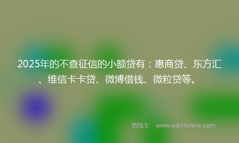 2025年的不查征信的小额贷有：惠商贷、东方汇、维信卡卡贷、微博借钱、微粒贷等。