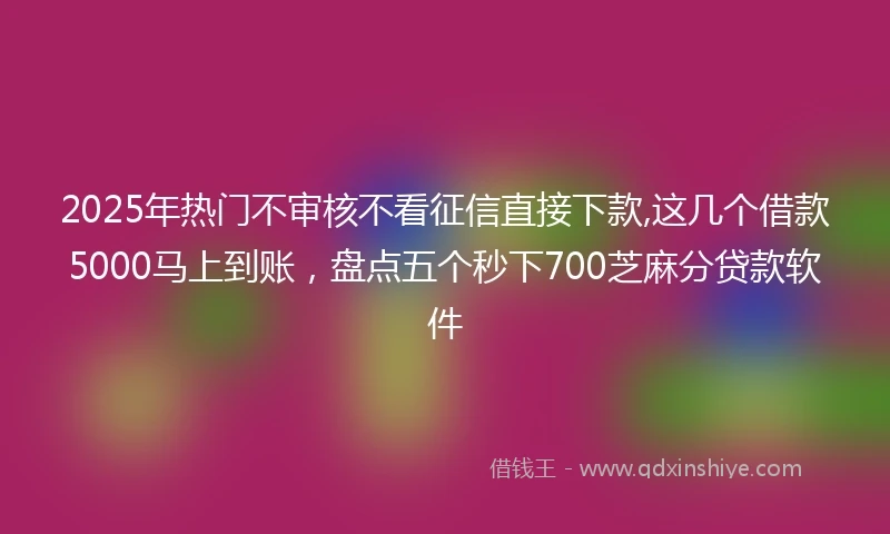 2025年热门不审核不看征信直接下款,这几个借款5000马上到账，盘点五个秒下700芝麻分贷款软件