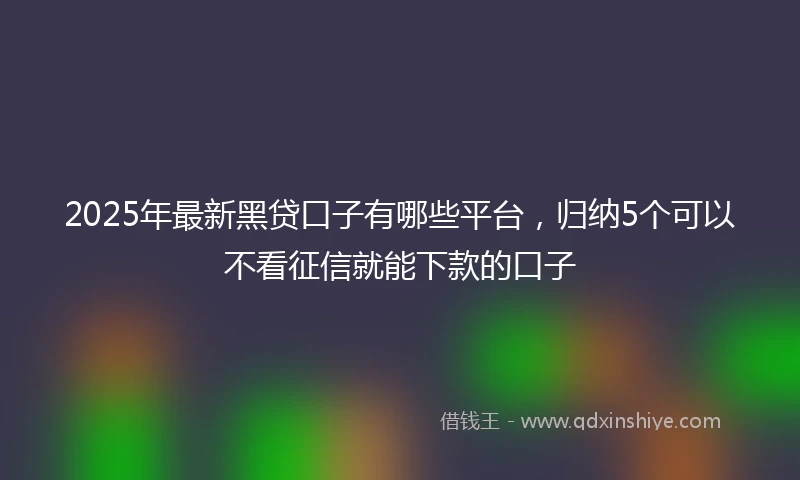 2025年最新黑贷口子有哪些平台，归纳5个可以不看征信就能下款的口子