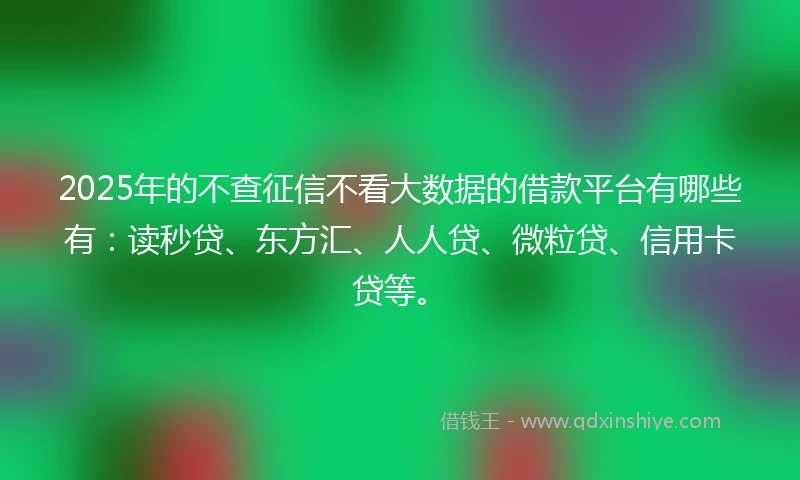 2025年的不查征信不看大数据的借款平台有哪些有：读秒贷、东方汇、人人贷、微粒贷、信用卡贷等。