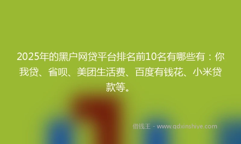 2025年的黑户网贷平台排名前10名有哪些有：你我贷、省呗、美团生活费、百度有钱花、小米贷款等。
