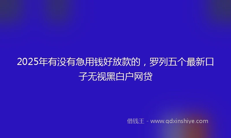 2025年有没有急用钱好放款的，罗列五个最新口子无视黑白户网贷