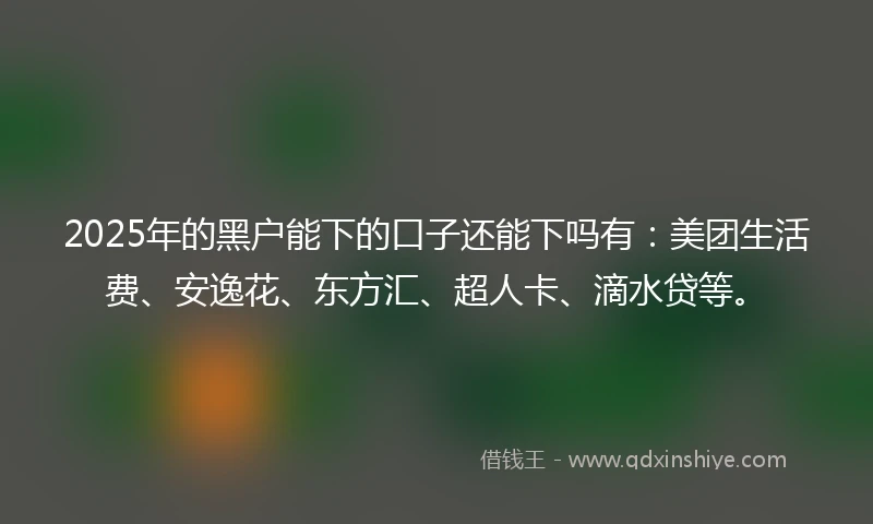 2025年的黑户能下的口子还能下吗有：美团生活费、安逸花、东方汇、超人卡、滴水贷等。