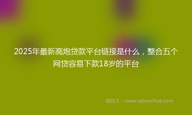 2025年最新高炮贷款平台链接是什么，整合五个网贷容易下款18岁的平台