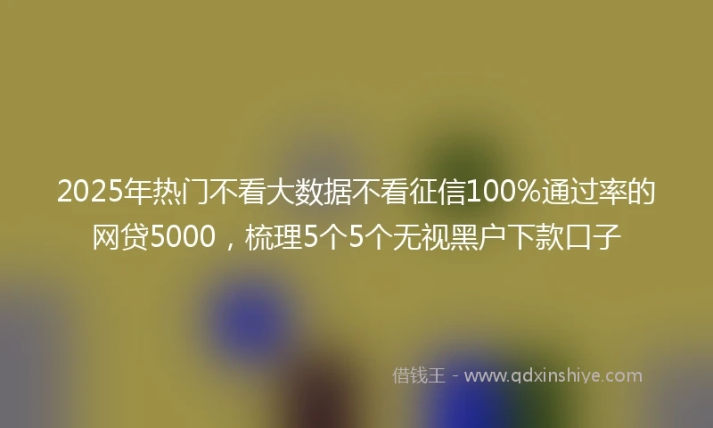 2025年热门不看大数据不看征信100%通过率的网贷5000，梳理5个5个无视黑户下款口子