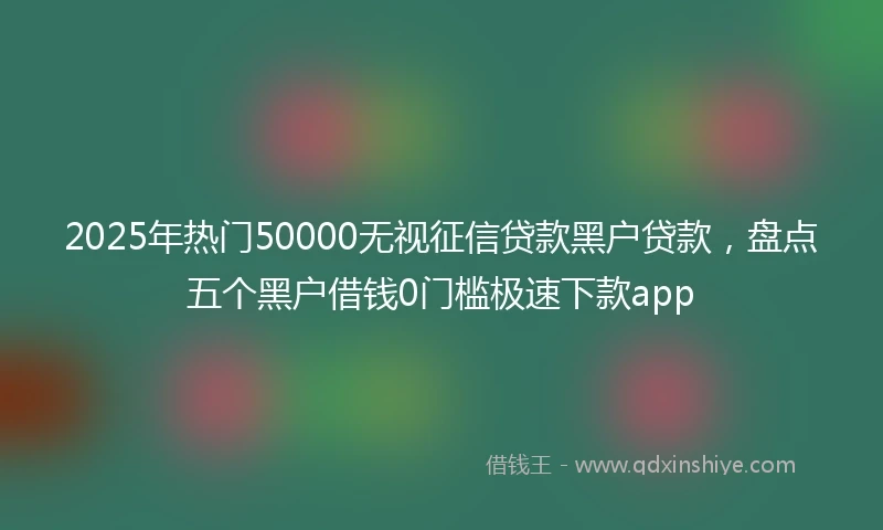2025年热门50000无视征信贷款黑户贷款，盘点五个黑户借钱0门槛极速下款app