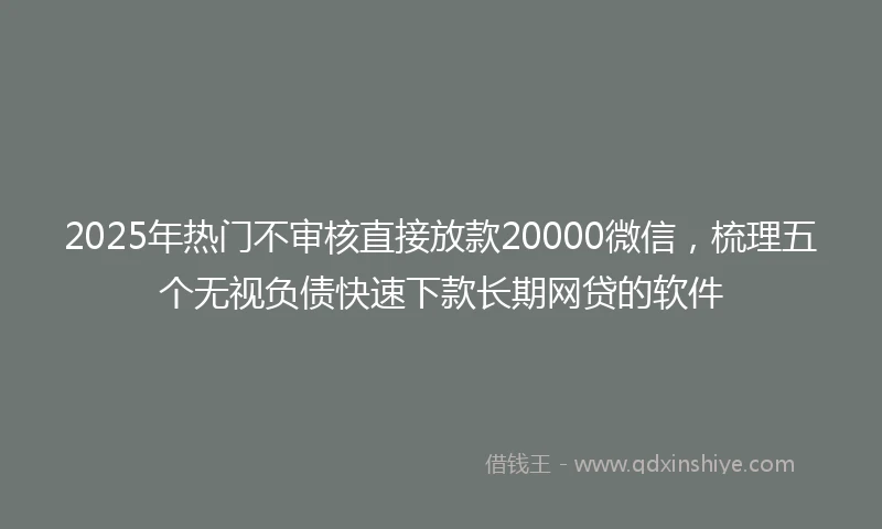 2025年热门不审核直接放款20000微信，梳理五个无视负债快速下款长期网贷的软件