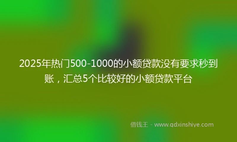 2025年热门500-1000的小额贷款没有要求秒到账，汇总5个比较好的小额贷款平台