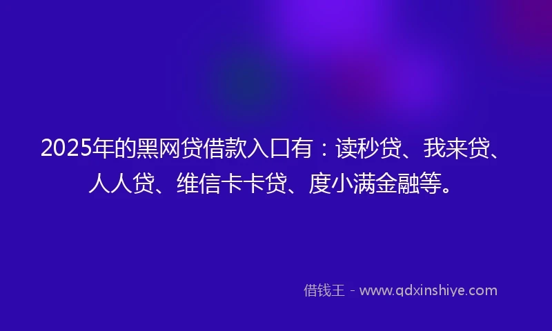 2025年的黑网贷借款入口有：读秒贷、我来贷、人人贷、维信卡卡贷、度小满金融等。
