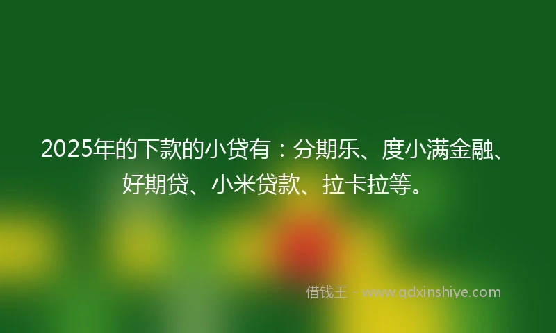 2025年的下款的小贷有：分期乐、度小满金融、好期贷、小米贷款、拉卡拉等。