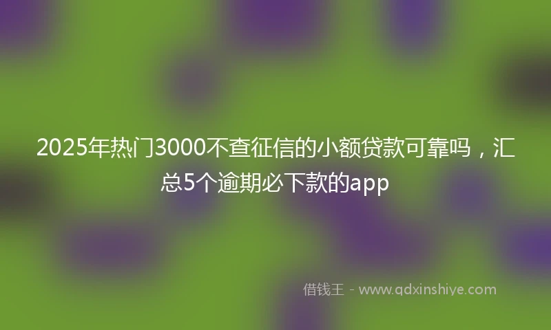 2025年热门3000不查征信的小额贷款可靠吗，汇总5个逾期必下款的app