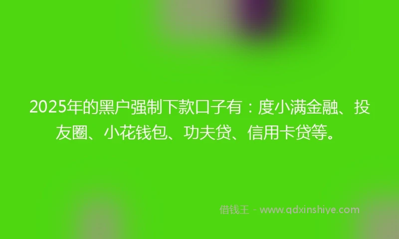 2025年的黑户强制下款口子有：度小满金融、投友圈、小花钱包、功夫贷、信用卡贷等。