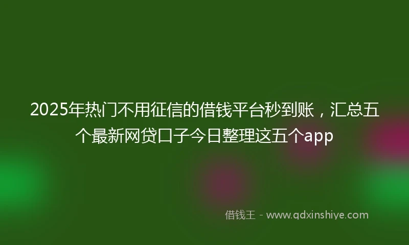 2025年热门不用征信的借钱平台秒到账，汇总五个最新网贷口子今日整理这五个app