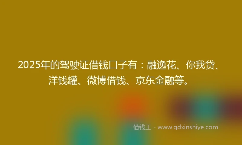 2025年的驾驶证借钱口子有：融逸花、你我贷、洋钱罐、微博借钱、京东金融等。