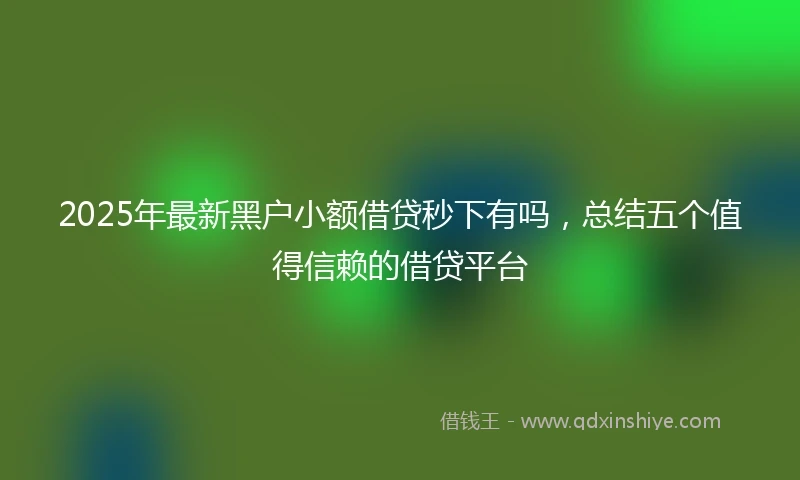2025年最新黑户小额借贷秒下有吗，总结五个值得信赖的借贷平台