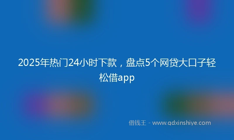 2025年热门24小时下款，盘点5个网贷大口子轻松借app
